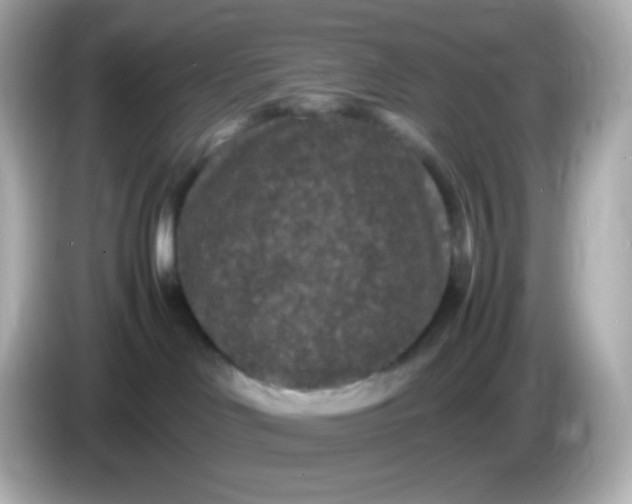 X0000086030046200704091140