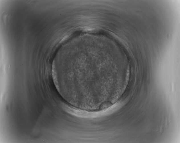 X0000086030048200704091140