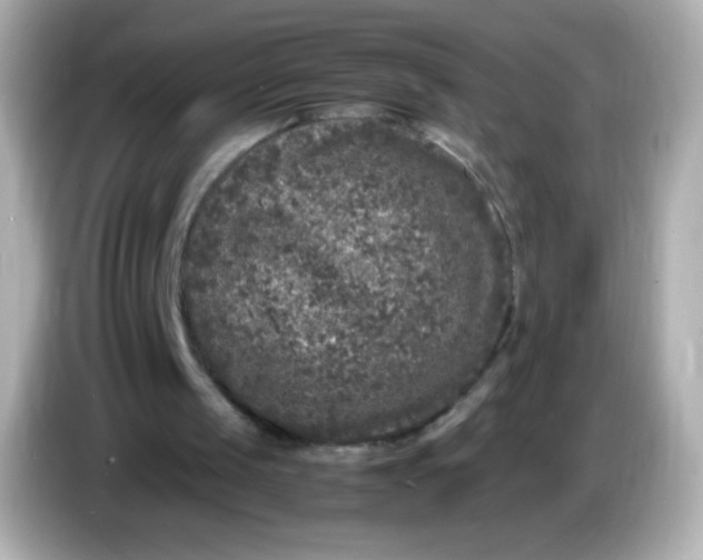 X0000086030049200704091140