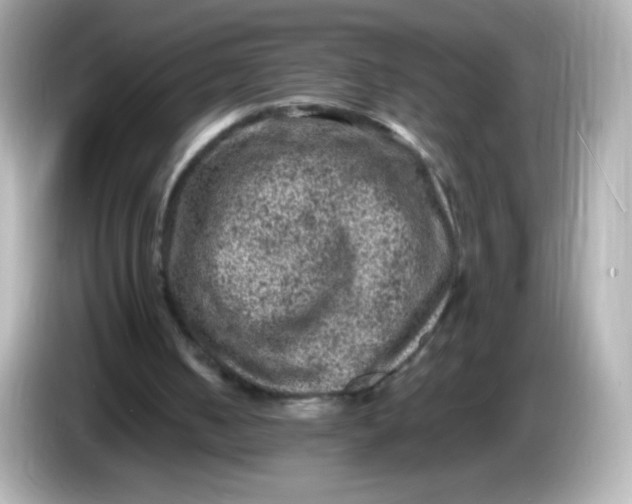 X0000086030050200704091140