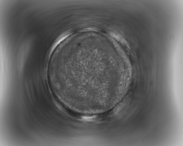 X0000086030051200704091140