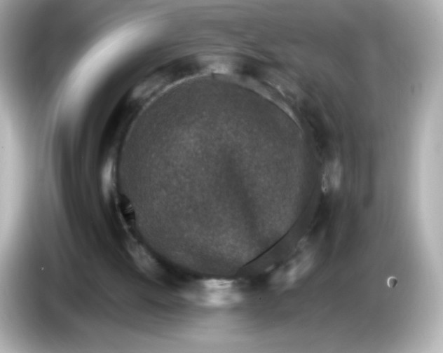 X0000086030052200704091140