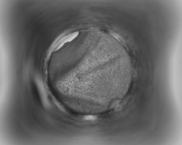 X0000086030053200704091140