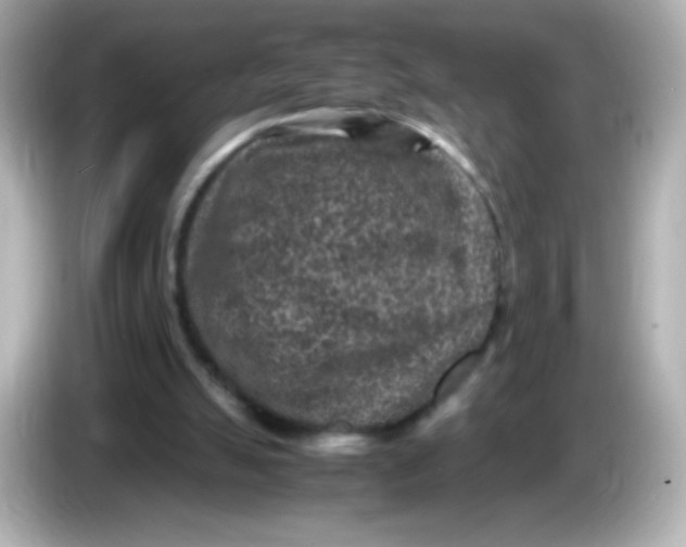 X0000086030055200704091140