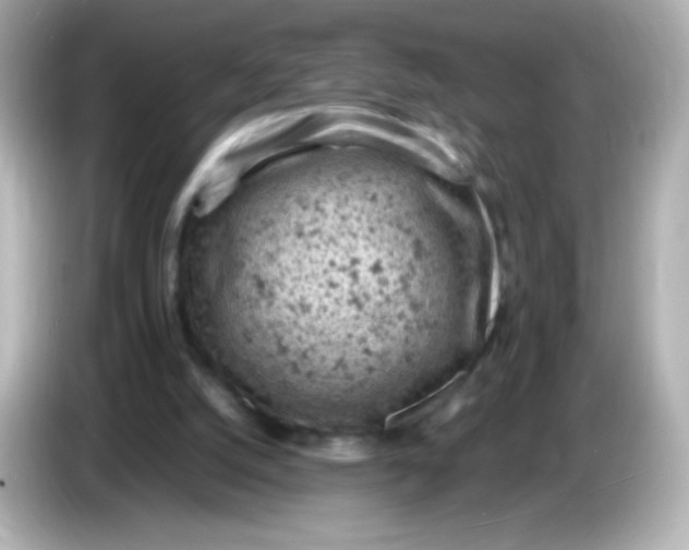 X0000086030056200704091140