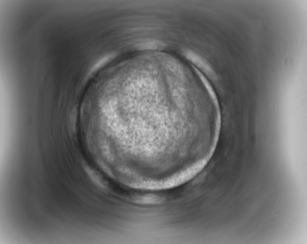 X0000086030058200704091140