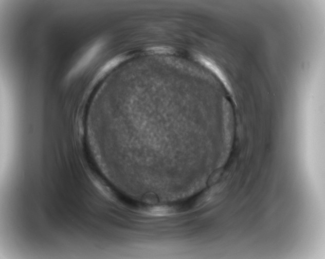 X0000086030059200704091140