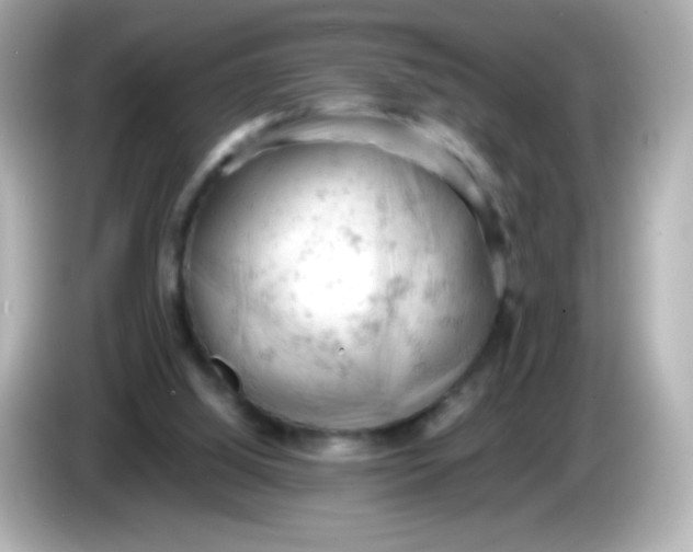 X0000086030060200704091140