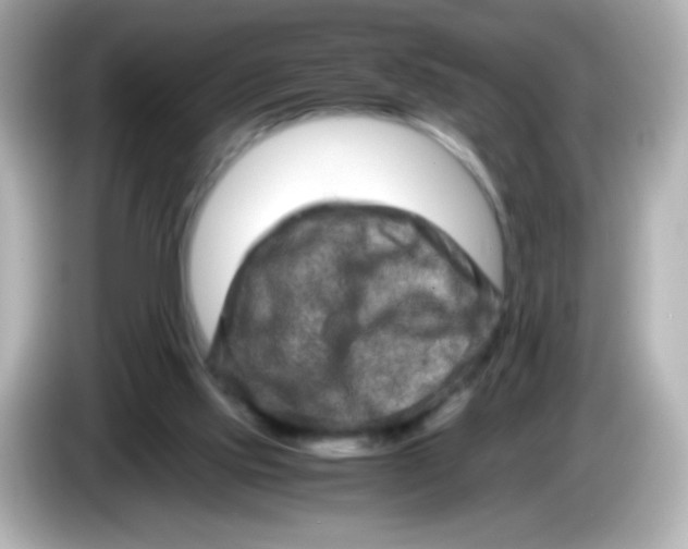 X0000086030061200704091140