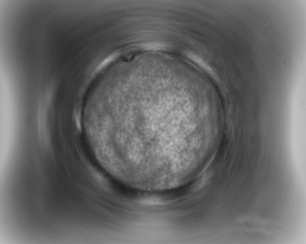 X0000086030062200704091140