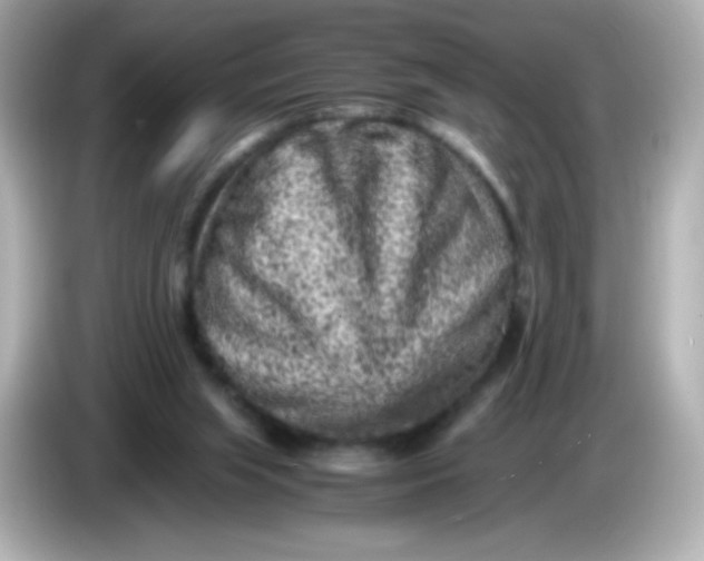 X0000086030063200704091140