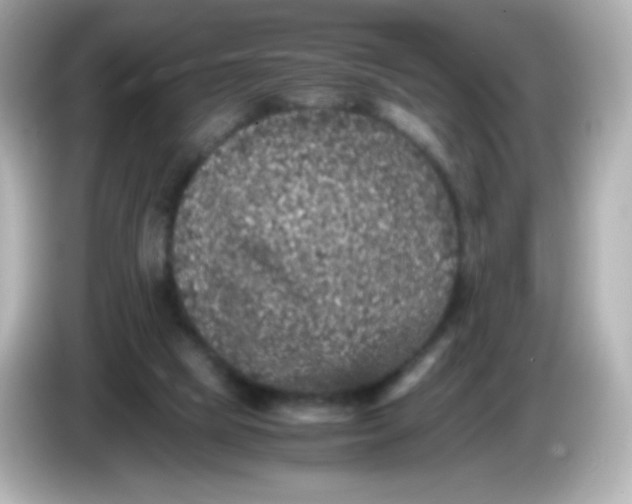 X0000086030065200704091140