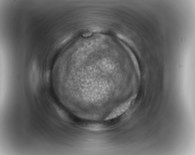 X0000086030066200704091140