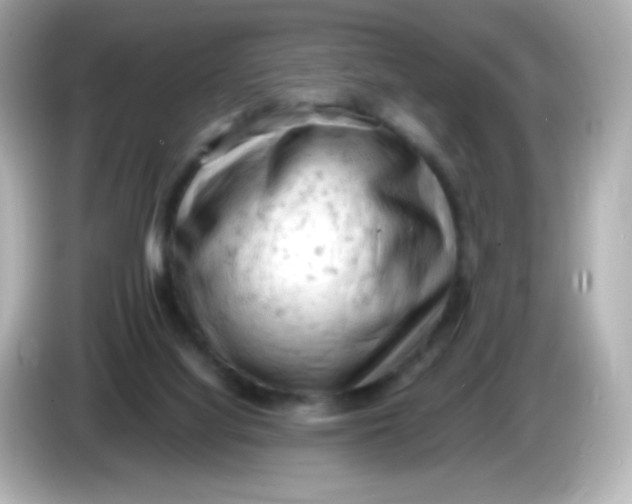 X0000086030068200704091140