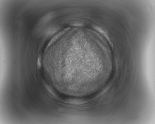 X0000086030069200704091140