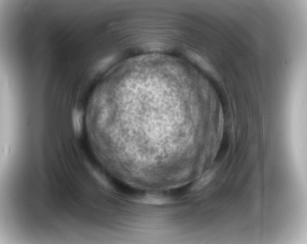 X0000086030070200704091140