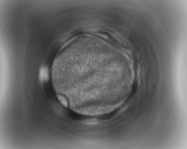 X0000086030075200704091140