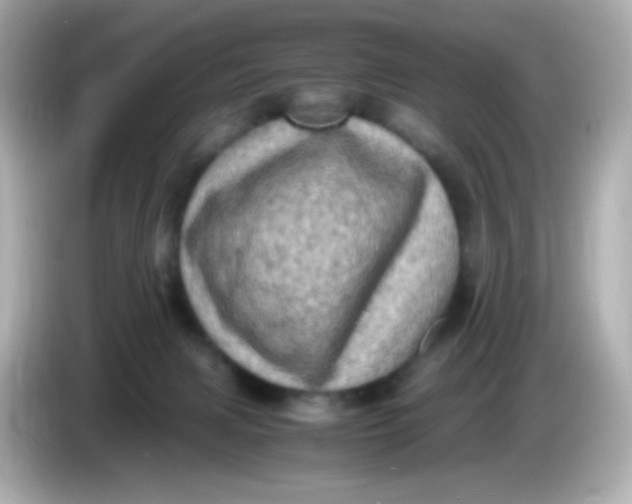 X0000086030079200704091140