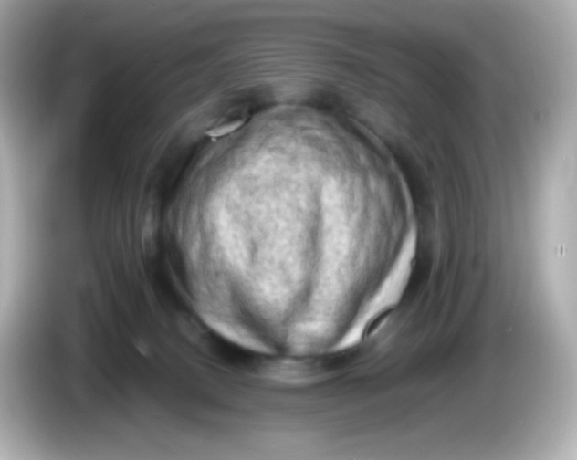 X0000086030082200704091140