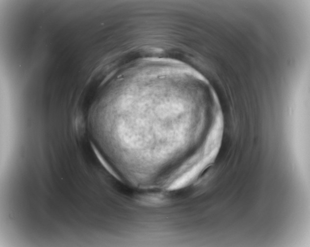 X0000086030086200704091140