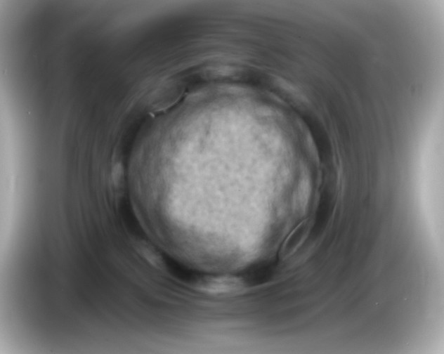 X0000086030087200704091140