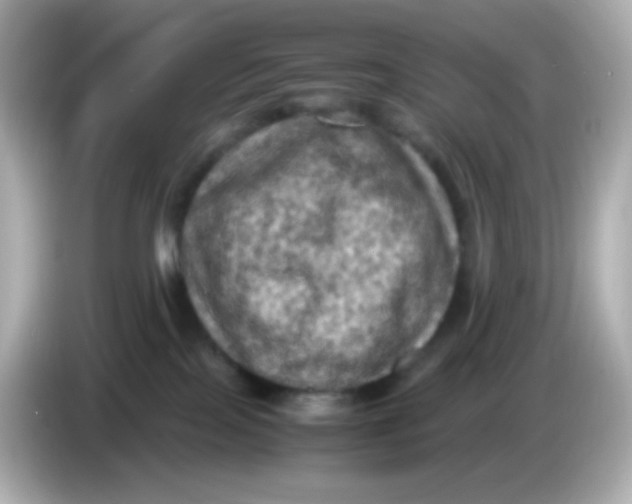 X0000086030089200704091140