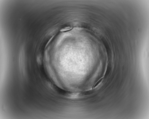 X0000086030090200704091140