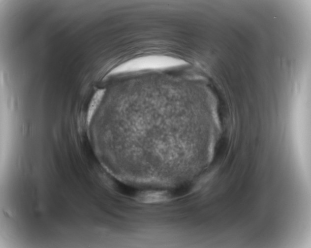 X0000086030093200704091140