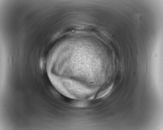 X0000086030094200704091140