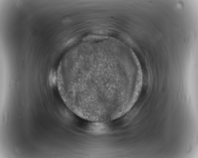 X0000086030095200704091140