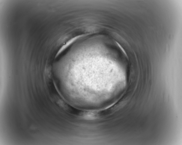 X0000086030096200704091140