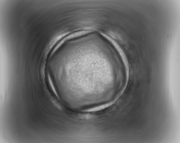 X0000086030098200704091140