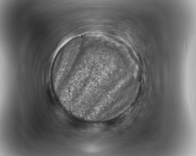 X0000086030099200704091140