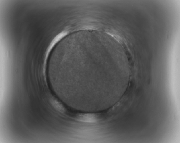 X0000086030104200704091139