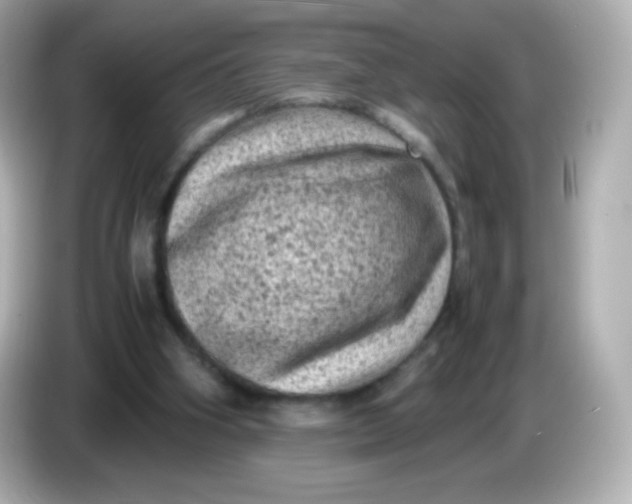 X0000086030106200704091139