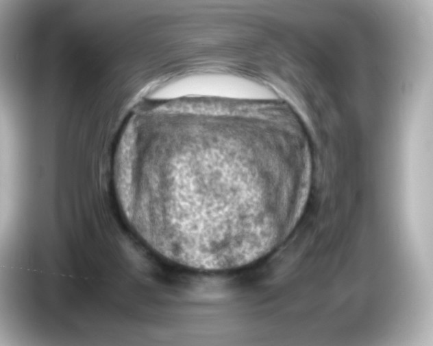 X0000086030107200704091139