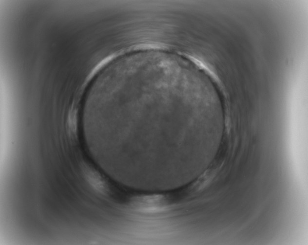 X0000086030108200704091139