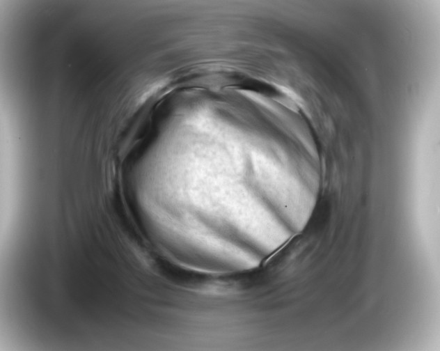 X0000086030109200704091139