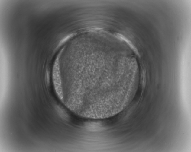 X0000086030110200704091139