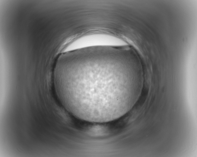 X0000086030111200704091139