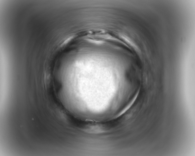 X0000086030113200704091139