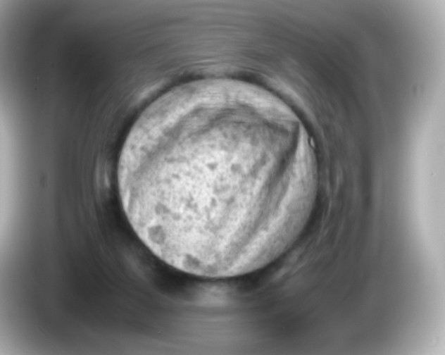 X0000086030115200704091139