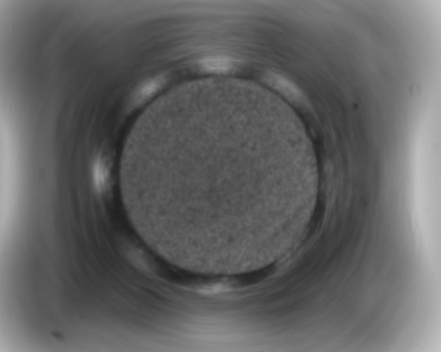 X0000086030116200704091139