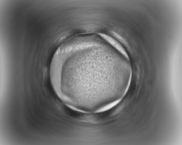 X0000086030117200704091139