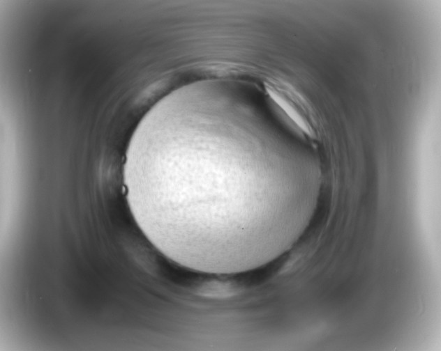 X0000086030119200704091139