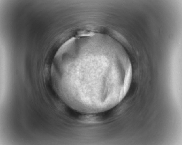 X0000086030121200704091139