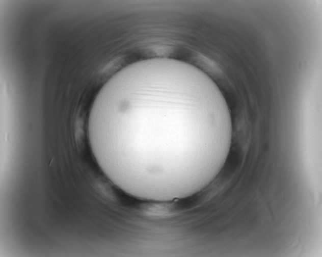 X0000086030122200704091139