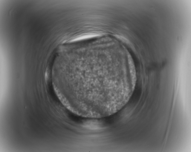 X0000086030123200704091139