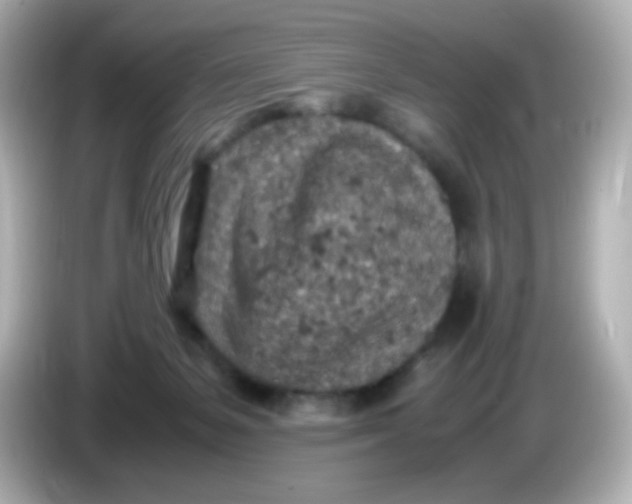 X0000086030127200704091139