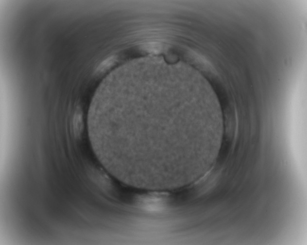 X0000086030128200704091139